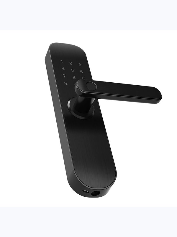 Дверной замок WIFI Ps-Link E202