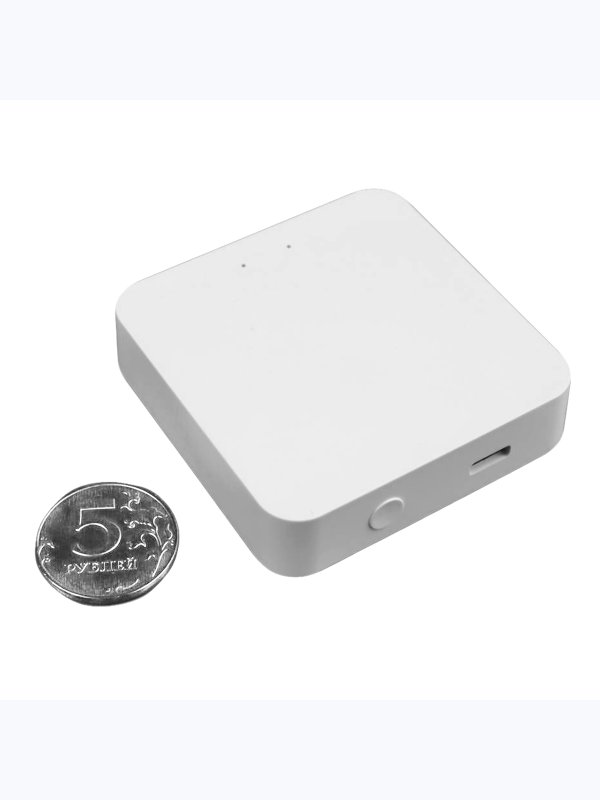 Центр управления умным домом Zigbee-BLE Ps-Link PS-TYZBG-01