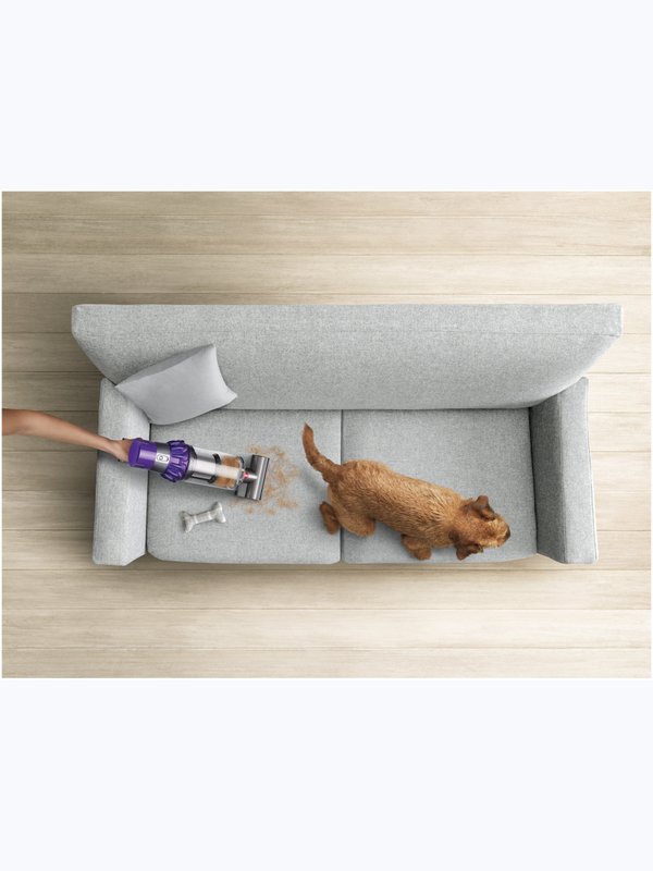 Dyson V10 ANIMAL 🐶
