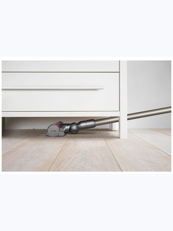 Dyson V8 Animal 🐶