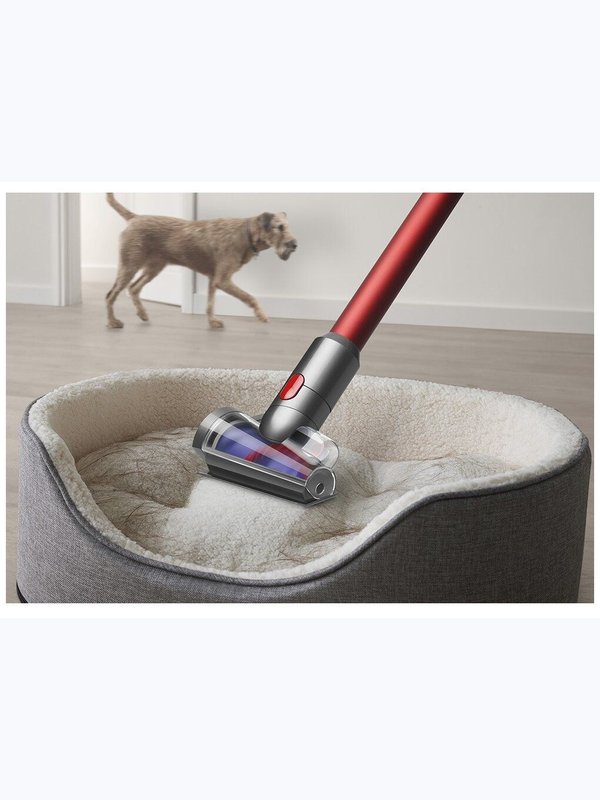 Dyson OUTSIZE Absolute