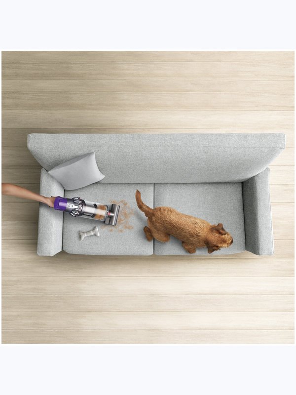 Dyson V10 Absolute