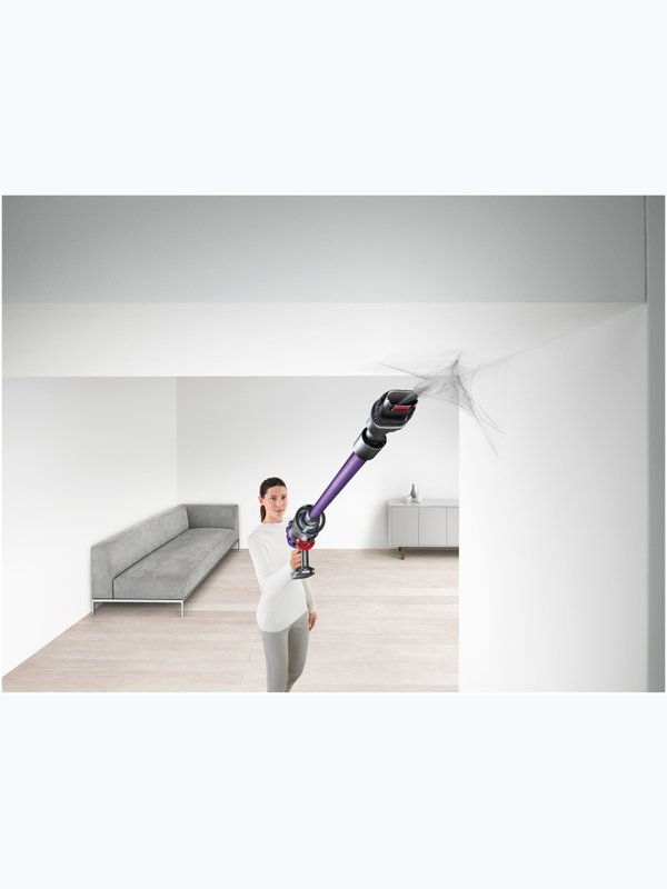 Dyson V10 ANIMAL 🐶