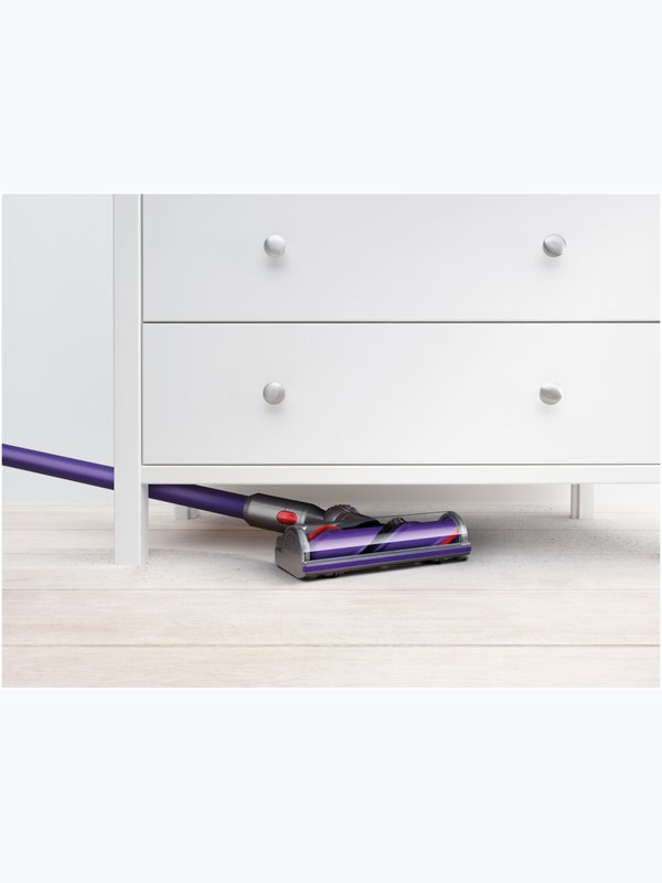 Dyson V10 ANIMAL 🐶