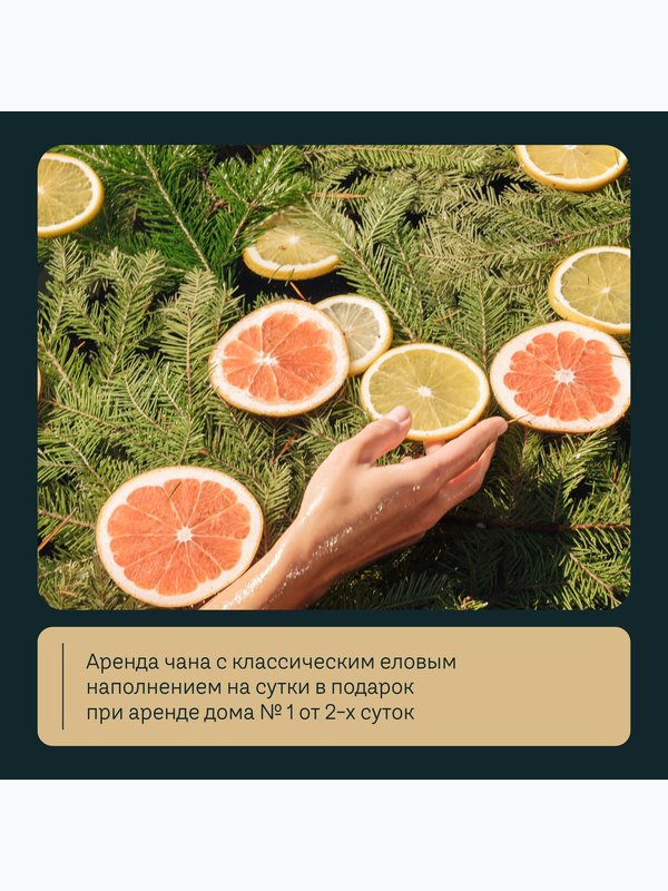 Специальные предложения