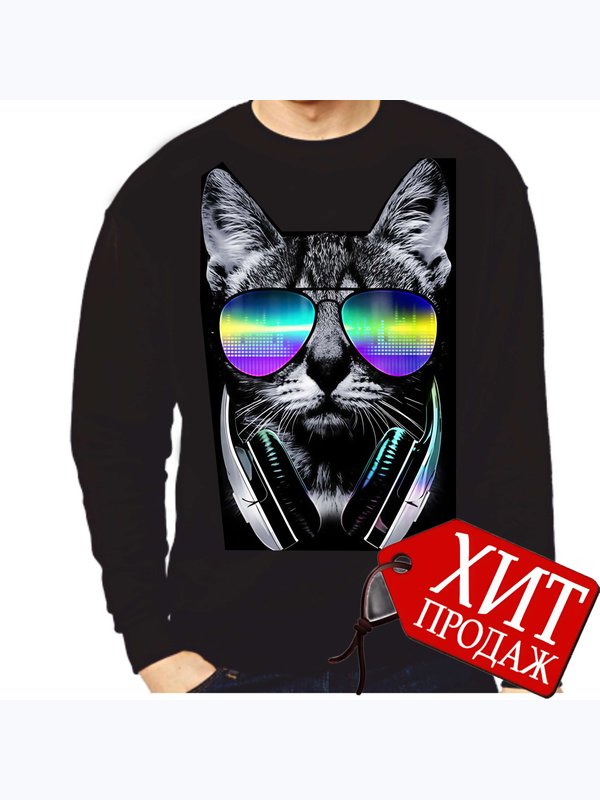Крутой кот (Кот DJ)
