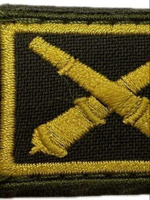 Петлицы вышитые "РВиА"