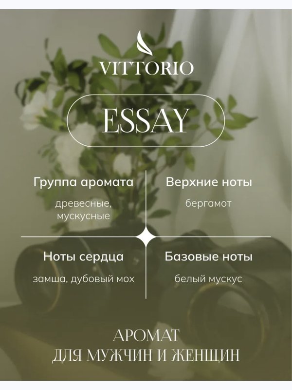 Essay