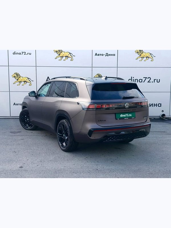 VOLKSWAGEN TERAMONT PRO