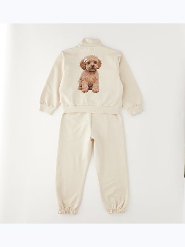 Комплект (Кофта, Брюки) 4.G324.00 1033