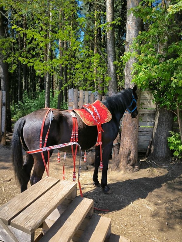 "ДЕРЕВЕНЬКА"
