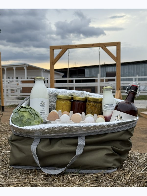 Услуга доставки продуктов в термосумке