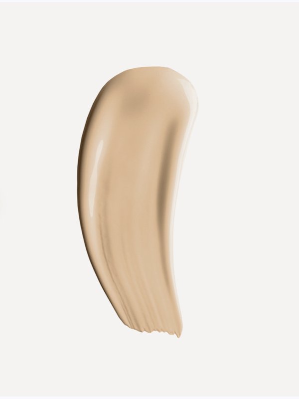 PERFECT CONCEALER. 2