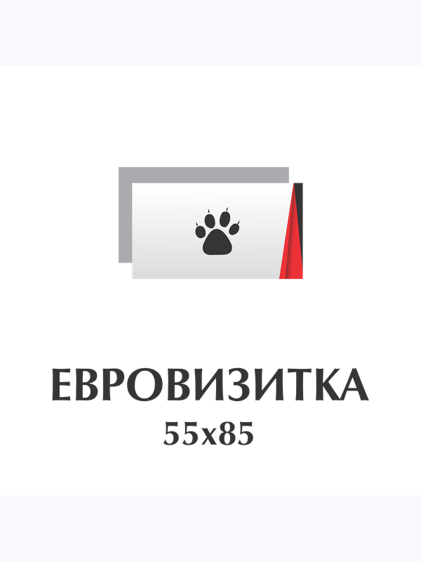 Визитки