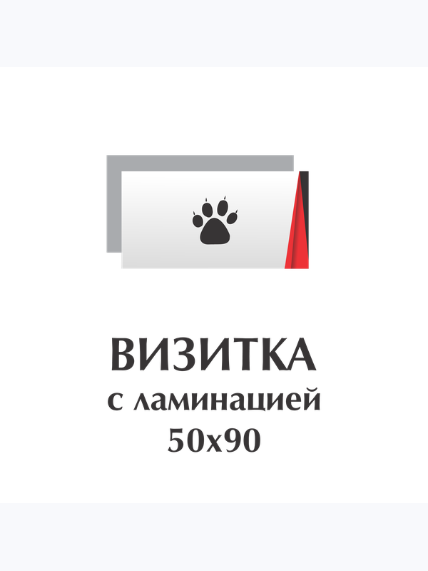 Визитки