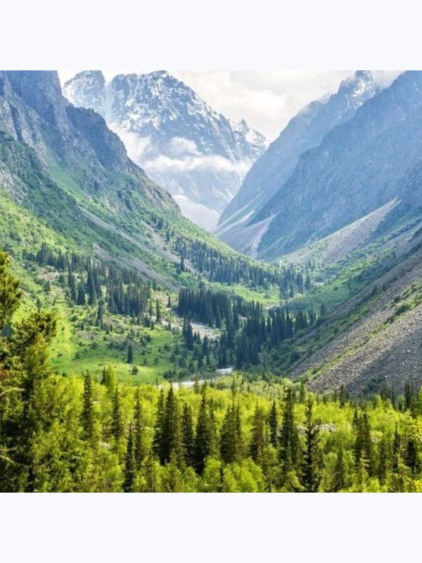 📍Ала-Арча