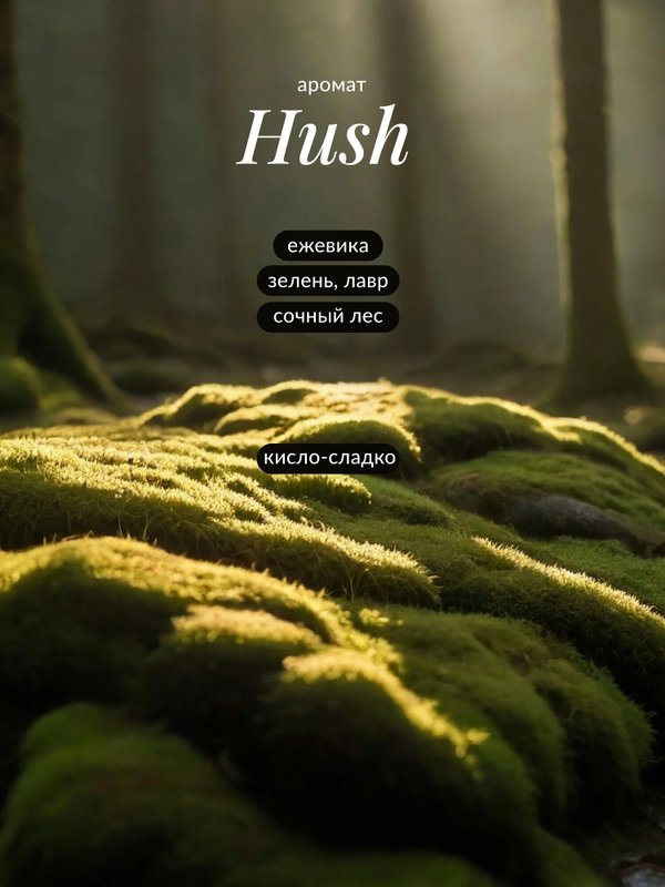 Молочко для тела Hush