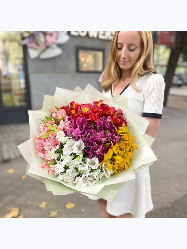 Alstroemeria mix