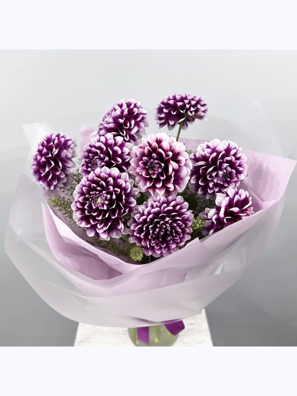 Purple dahlias