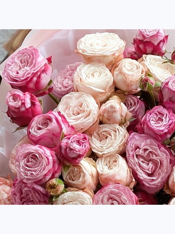 A bouquet of spray roses Bombastiki