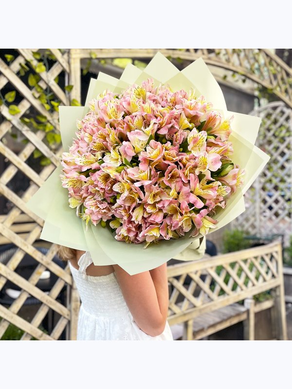 Pink alstroemerias