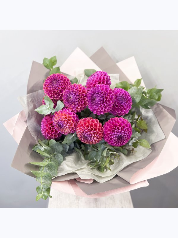 Pink dahlias