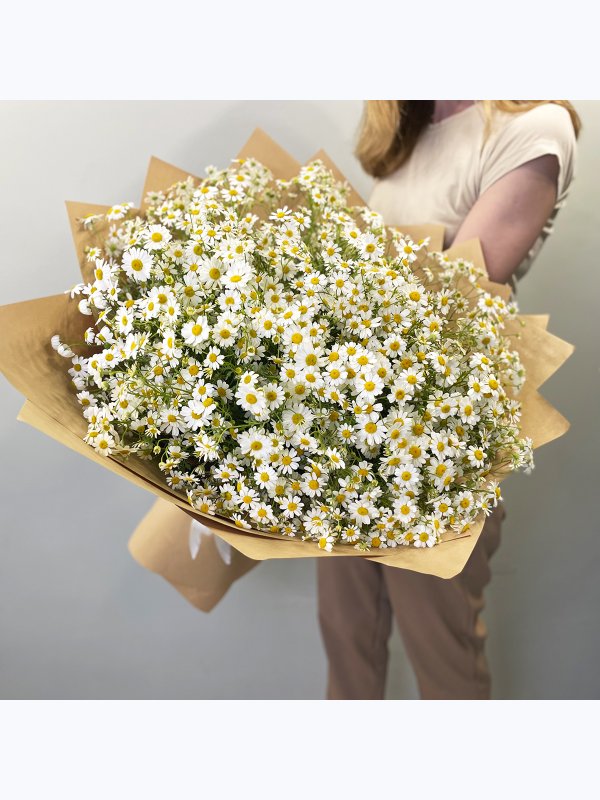 Sea of ​​daisies