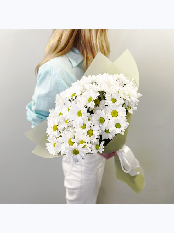 Chrysanthemum chamomile