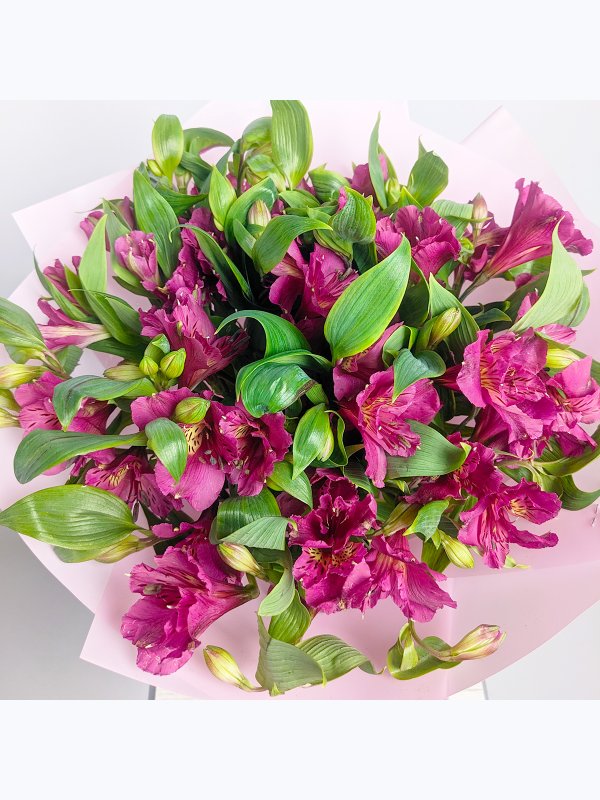 Alstroemeria
