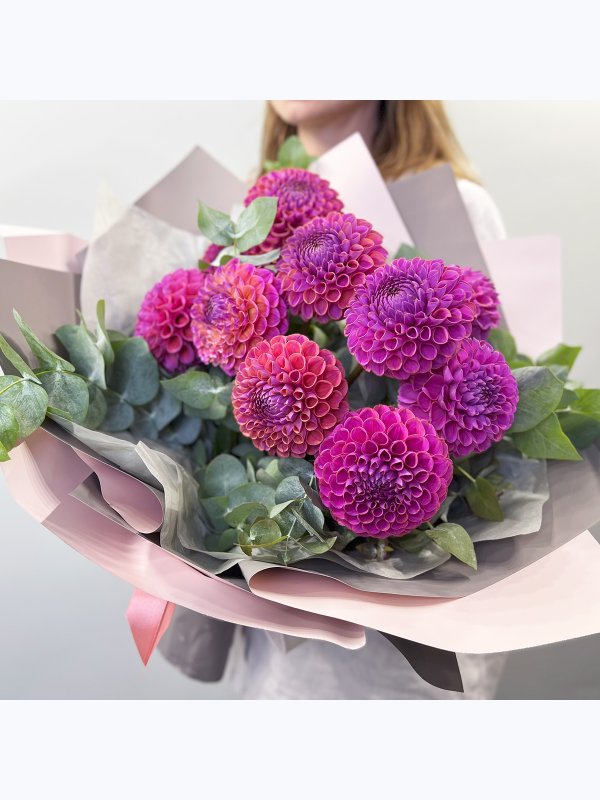 Pink dahlias
