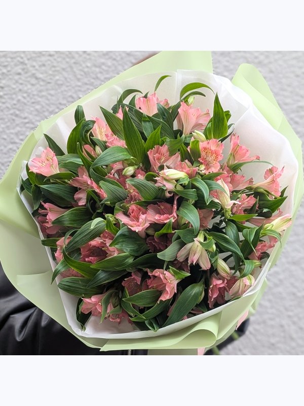 Alstroemeria pink 11