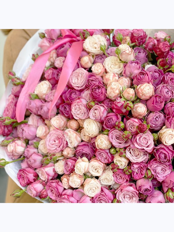 Pink sea Spray Pink Roses