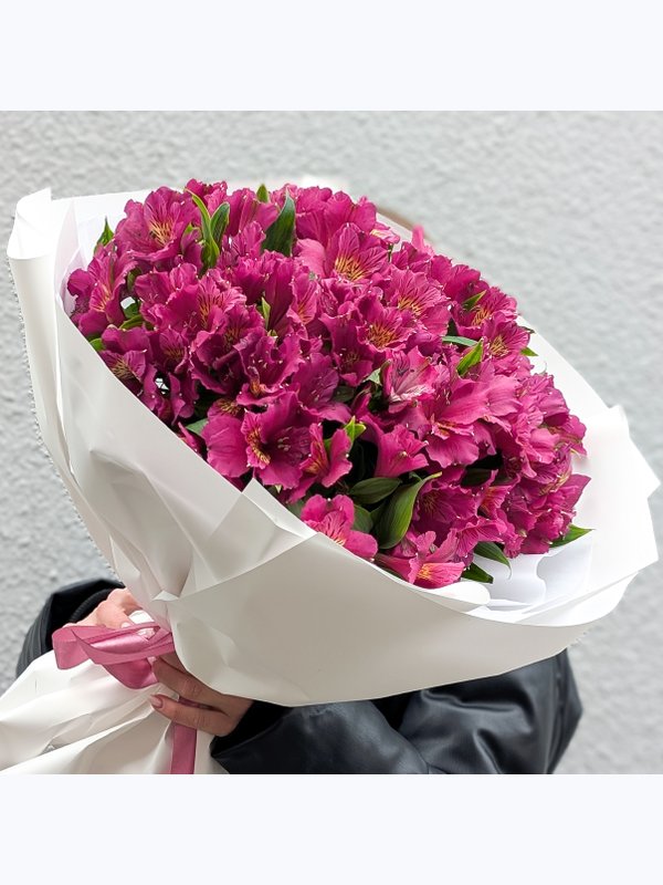 Alstroemeria violet L