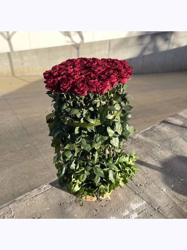 101 roses in a basket