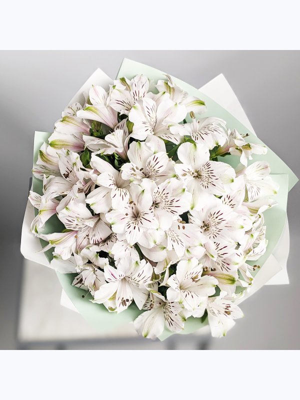 White Alstroemeria