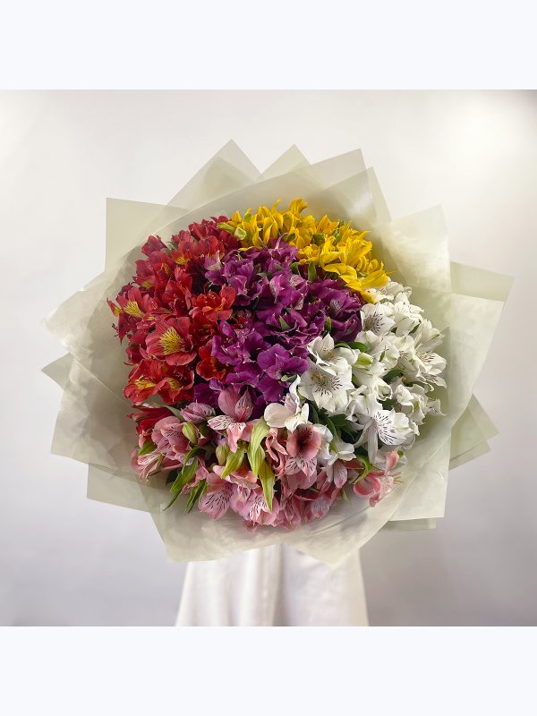 Alstroemeria mix