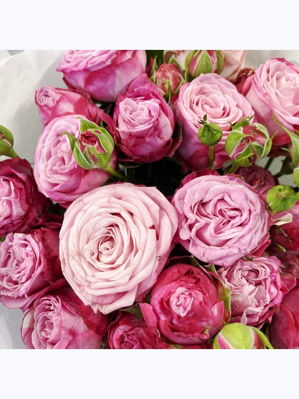 7 spray roses
