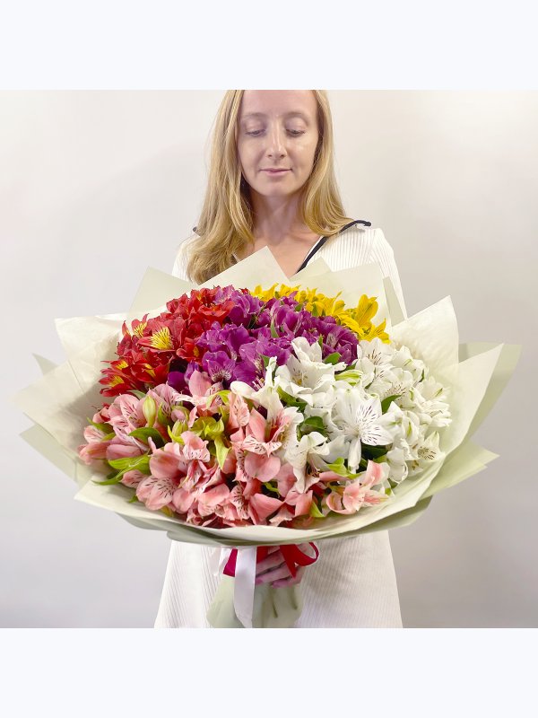 Alstroemeria mix