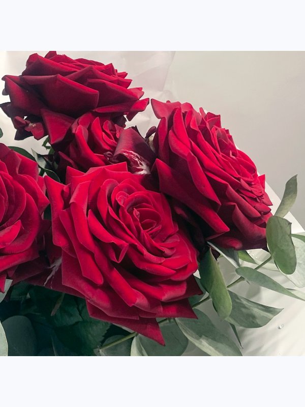 9 roses with eucalyptus