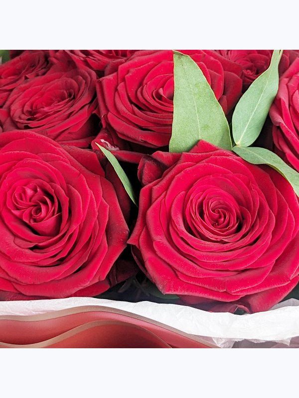Red roses