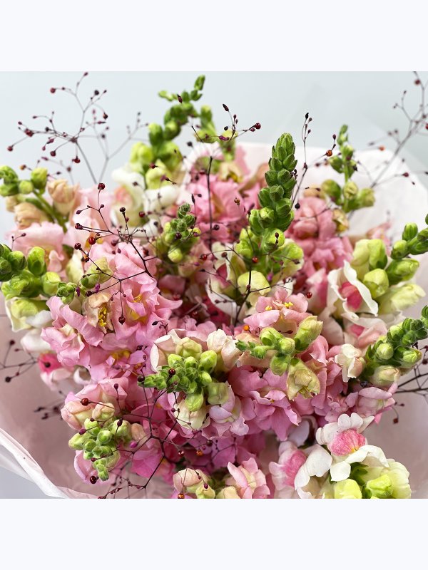 Bouquet with antirrhinum