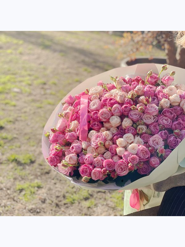 Pink sea Spray Pink Roses