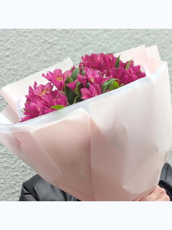Alstroemeria 7