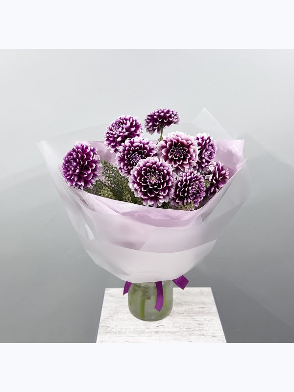 Purple dahlias
