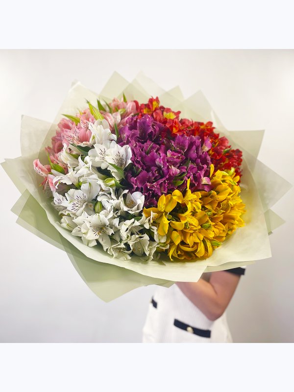 Alstroemeria mix