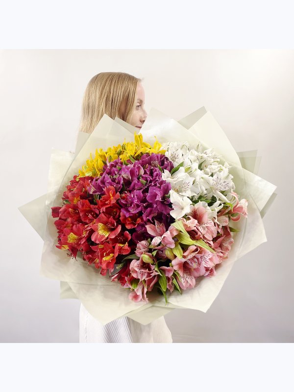 Alstroemeria mix