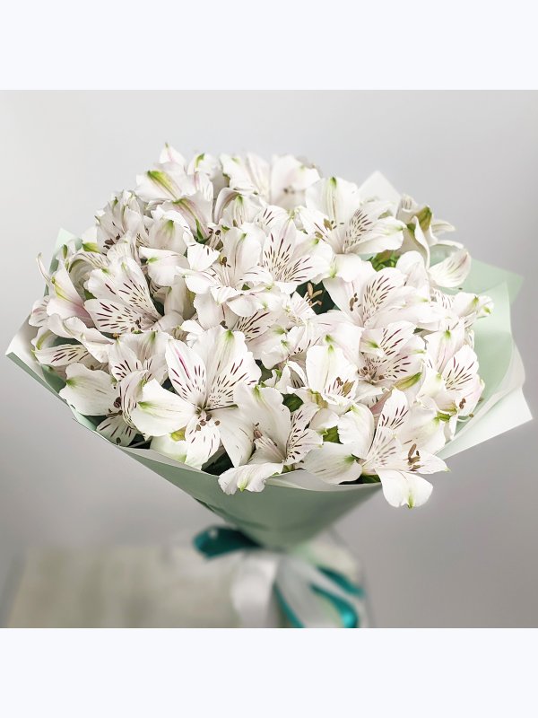 White Alstroemeria