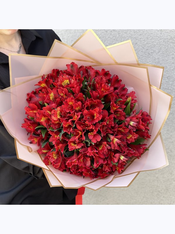 30 Red alstroemerias