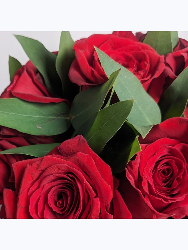 20 red roses in a box