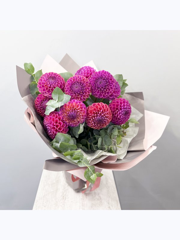 Pink dahlias